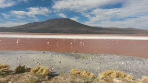laguna colorada